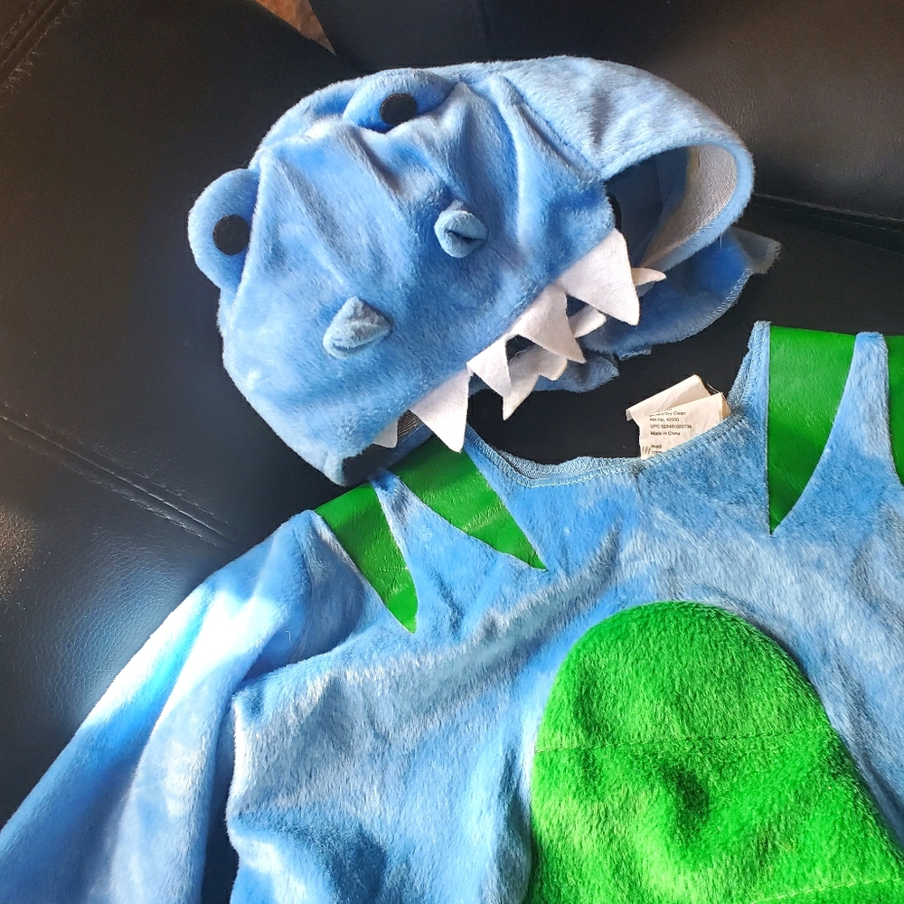 Dinosaur  Costume